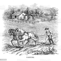 Z historie: Vývoj zemědělství  